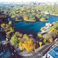 New York Central Park